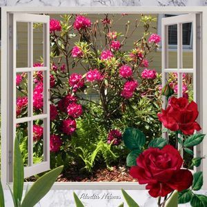 Meet your Posher, Antonio